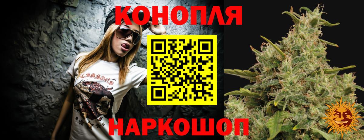 Прохладный  Бошки Шишки Bruce Banner  Шишки марихуана семена  Канабис ГИДРОПОН  Бошки Шишки планчик  Вход с VPN 